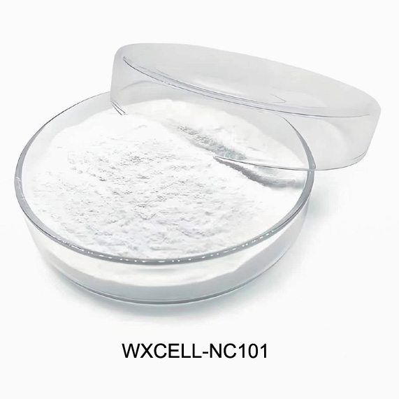 WXCELL-NC101 NC Foaming agent